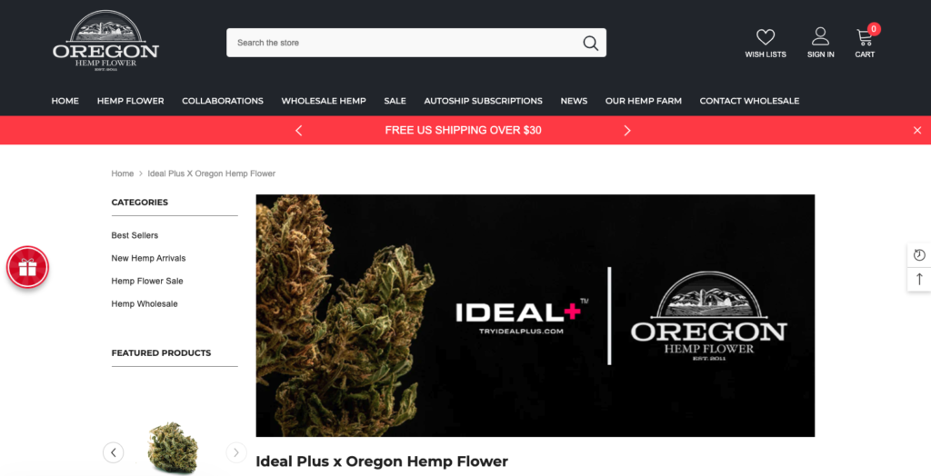 Website Design in Portland